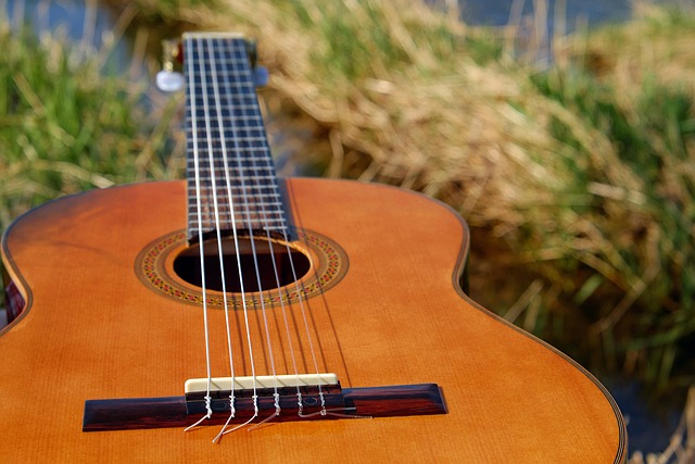 How Much Does Acoustic Tonewoods & Resonance Really Cost in 2026? Budget & Gear