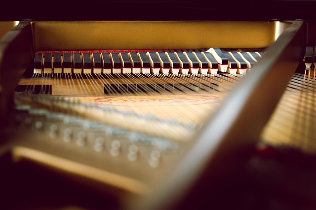 My Field Guide to Acoustic Tonewoods & Resonance : What Actually Works